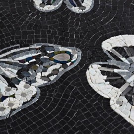 Papillion Koleksiyonu