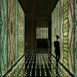 Nitelite Koleksiyonu