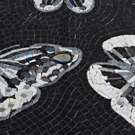 Papillion Koleksiyonu